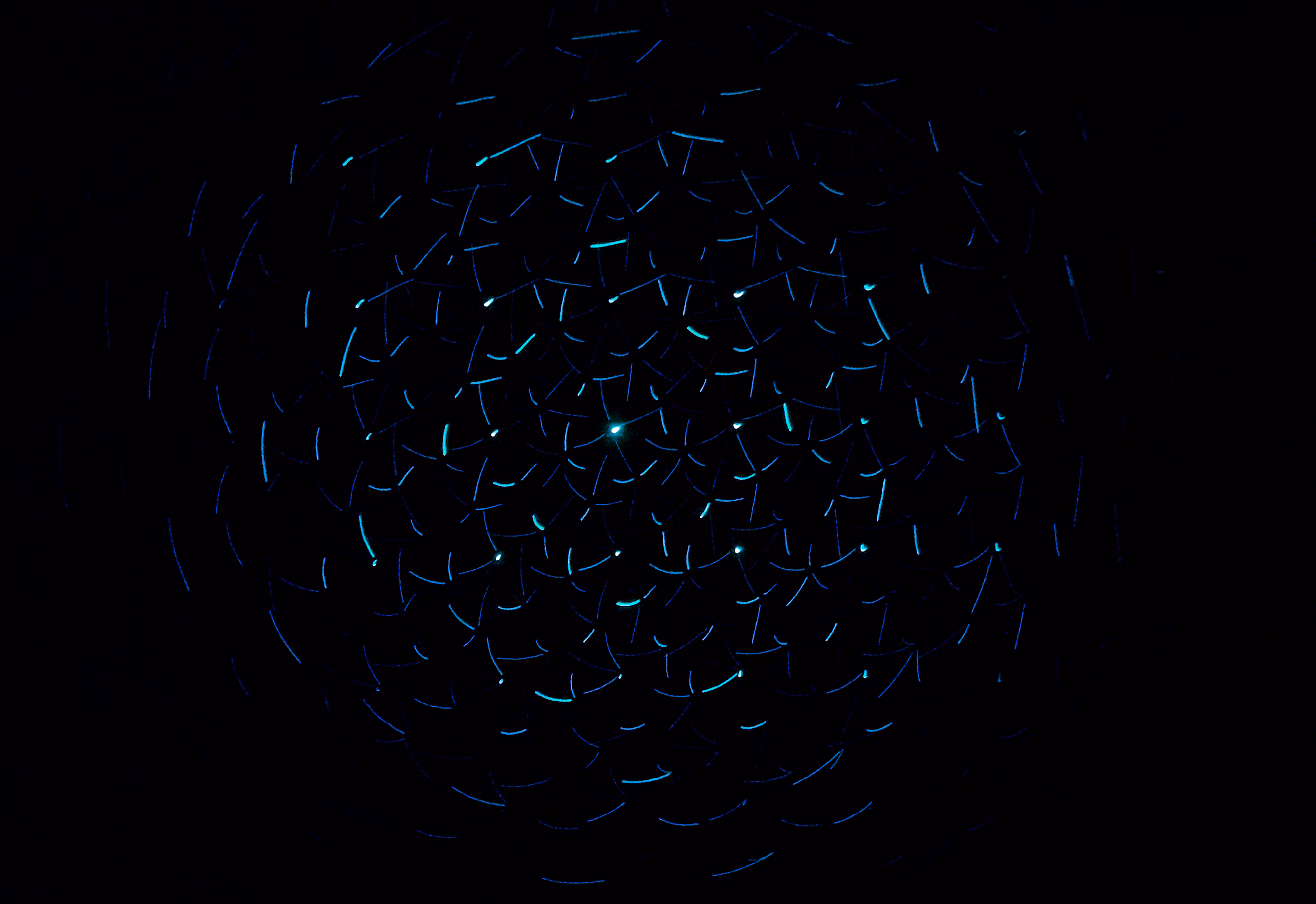 CTA Background