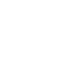 Customized Solutions Icon