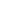 Affordable Icon