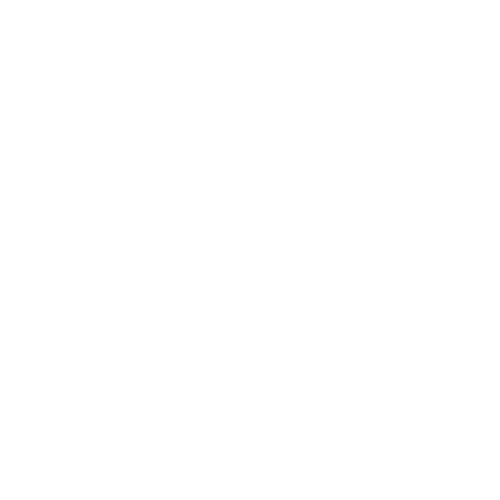 Custom Software Icon