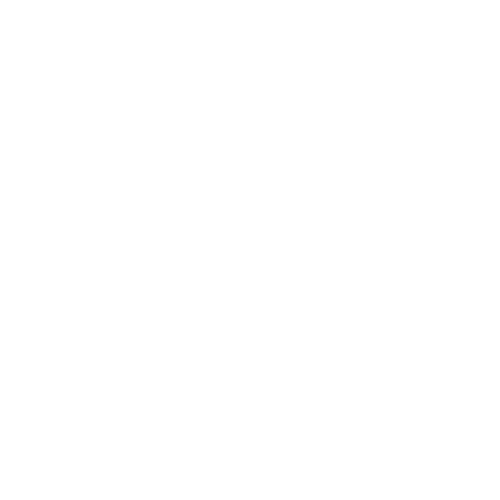 Web Development Icon